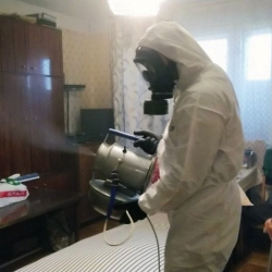 Дезинфекция от клопов в Дорогобуже