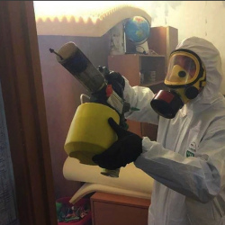 Уничтожение клопов в квартире. Дорогобуж